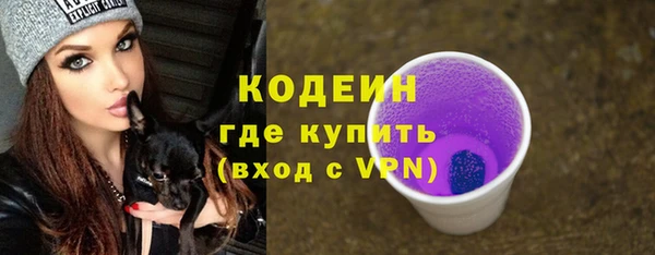 прущие грибы Новозыбков