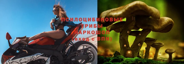 ECSTASY Алексеевка