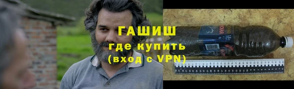 прущие грибы Новозыбков