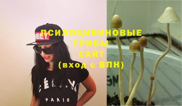 ECSTASY Алексеевка