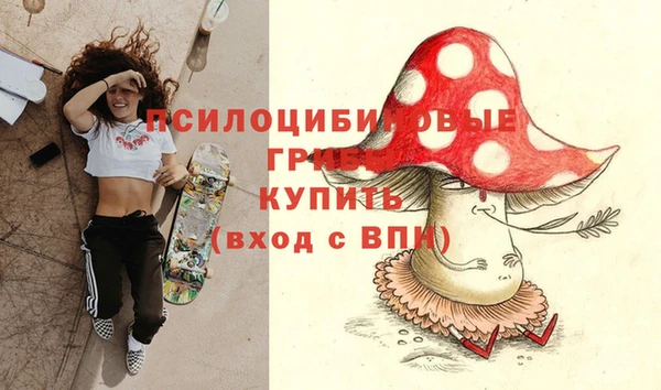 ECSTASY Алексеевка