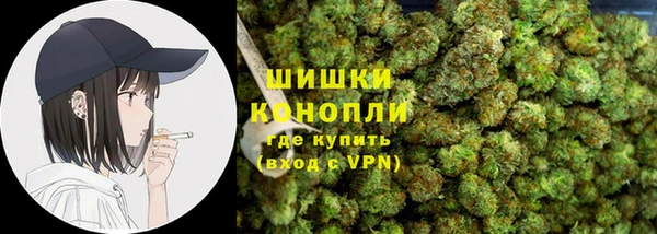 прущие грибы Новозыбков